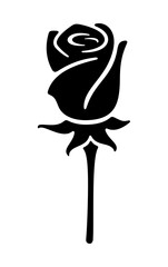 Roses, flowers and plant. Floristry or floristics, floral, floweret and nature, illustration