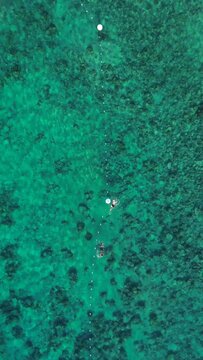 Vertical aerial view of people snorkeling off the shore of Kailua-Kona on a sunny day in Hawaii, USA