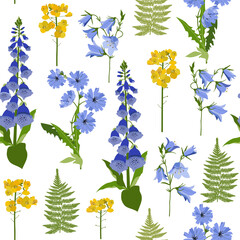Wild flowers on a white background. Seamless vector illustration.