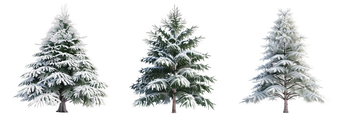 set of fir trees, snow-dusted and stately, isolated on transparent background