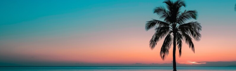Palm tree that is standing in the water. Summer background. Banner
