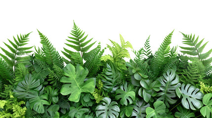 Green leaves of tropical plants bush floral arrangement indoors garden nature backdrop isolated on transparent background - Generative AI
