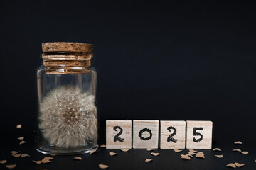 Pusteblume in einem Glas mit Korkdeckel vor schwarzem Hintergrund, aufgestellte Spielsteinen aus Holz, 2025 darauf geschrieben, Konfetti aus Naturpapier,, horizontal