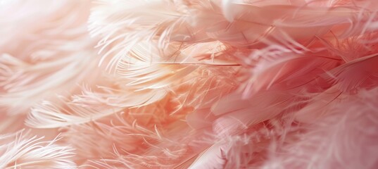 A closeup of soft pink and peach feathers, creating an abstract background with a dreamy texture. Fluffy feathers on an elegant flamingo's tail for use as background or texture.