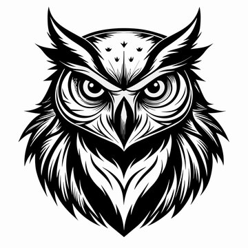 Owl vector silhouette. Owl vector illustration isolated white background