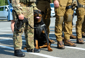 Soldiers of KORD police special forces, and police dog standing in the line on the military ground....