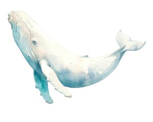 A rustic portrayal of a Beluga Whale in Arctic waters, creamy whites and icy blues, serene and graceful, white background, vivid watercolor, 100 isolate