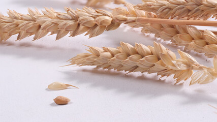 Primo piano di spighe di grano