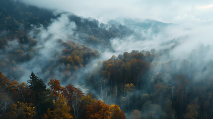 An ethereal aerial view of a dense forest in autumn, with the trees' vivid colors veiled by a serene blanket of mist weaving through the landscape