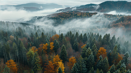 Majestic mistcovered forest landscape, aerial view of mountains and trees shrouded in fog during...