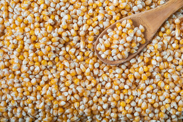 The image shows corn in close-up, showing corn kernels.