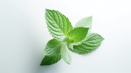 Green mint leaves on a white background. AI generated.