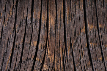 Wood background. Wood surface background of old vintage wood close up. Beautiful wood texture.