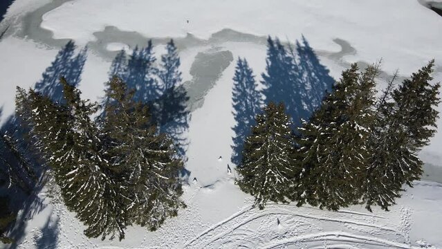 Aerial winter view of Rhodope Mountains around resort of Pamporovo, Smolyan Region, Bulgaria