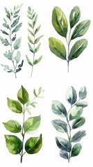 Simple watercolor painting of botanicals, white, green, the pla - obrazy, fototapety, plakaty