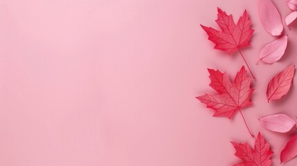 pastel pink background decorated with scattered red and pale pink maple leaves. Copy space background for text or other elements, visual projects and design