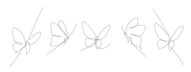 butterfly continuous line design. poem element continuous line illustration. vector lineart. monoline asset.