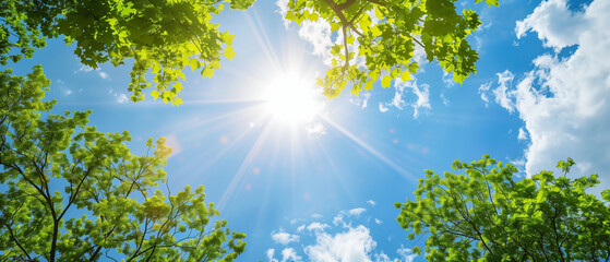 Sunburst through verdant tree canopy against a blue sky. Generative AI - obrazy, fototapety, plakaty