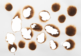 Collection of burnt holes in piece of paper isolated on white background