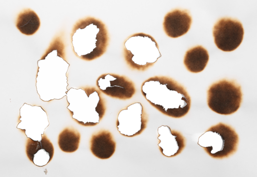 Collection of burnt holes in piece of paper isolated on white background