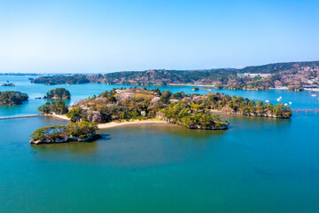 桜が咲く福浦島（宮城県松島町）