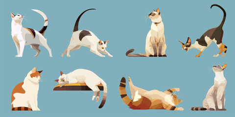 Different breeds of cats in various poses. Realistic set of pet animals -fluffy cute cats, sphynx and siamese. Cartoon cat characters on blue background
