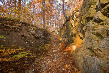 ravine with stone walls in an autumn forest