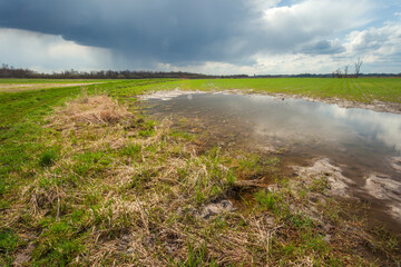 Rain cloud over a wet meadow