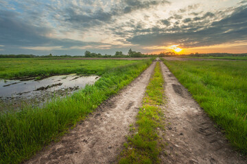 Fototapeta na wymiar View of a dirt road through green wet meadows and sunset sky