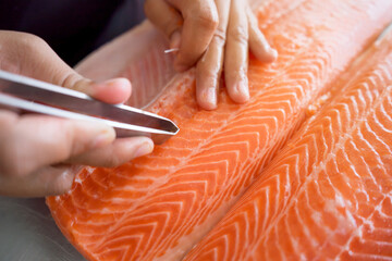 Pulling salmon fishbone For making sashimi and sushi. - obrazy, fototapety, plakaty