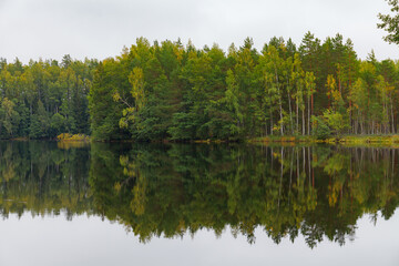 Reflections of the coniferous forest on a wilderness lake, calm cloudy day