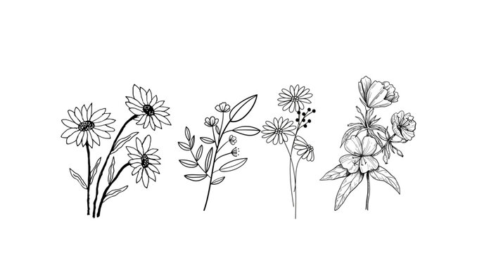 flower set line one art isolated vector illustration