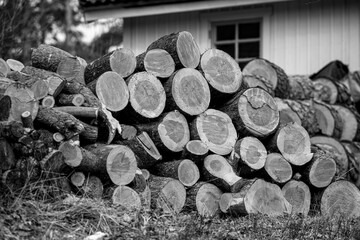 stack of firewood, nacka,sverige,sweden,stockholm,Mats,åre,