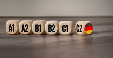 Cubes, dice or block with different language levels english, french, german, spanish on wodden background
