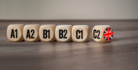 Cubes, dice or block with different language levels english, french, german, spanish on wodden background