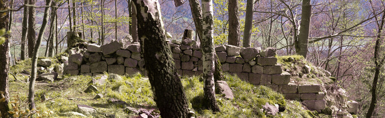 Ruine der Rachelburg im Inntal im Frühjahr im Wald