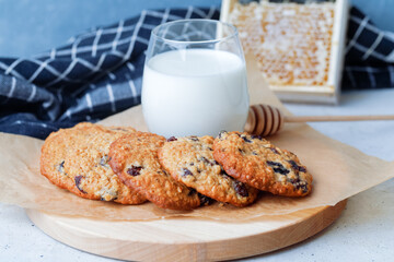 Oats Cookies With Chocolate Drops, Honey And Glass Of Milk. Side View On Grey Background.