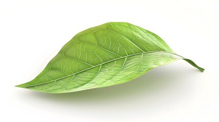 Obraz premium Green Leaf Icon Representing Sustainability and Nature in Detailed,Lifelike 3D Rendering on White Background