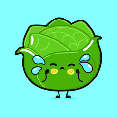 Crying Cabbage character. Vector hand drawn cartoon kawaii character illustration icon. Isolated on blue background. Sad Cabbage character concept