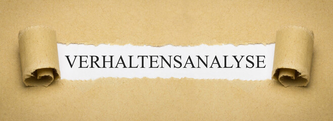 Verhaltensanalyse