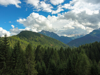 pine forest and clouds dolomites