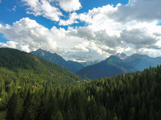 forest Landscape Dolomites Falcade val del Biois