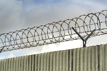 Coils of barbed razor wire on top of a fence for security and protection of premises