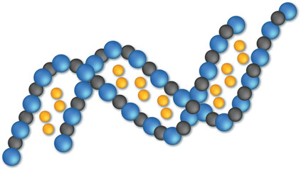 3d render of a dna molecule model