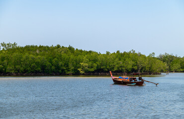 long tail boat and mangrove forest background at Trang THAILAND
