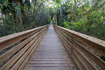Boardwalk over constructed wetlands of Green Cay Nature Center in Boynton Beach, Florida in early morning light..