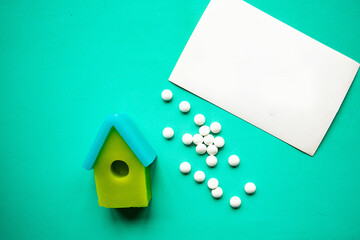 Toy house and the card with message Stay Home on green background. Quarantine concept