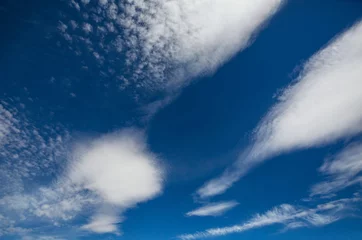 Selbstklebende Fototapeten Blue sky © Galyna Andrushko