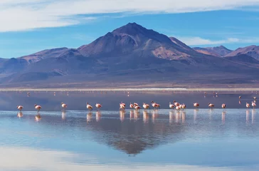 Foto auf Glas Lake in Chile © Galyna Andrushko