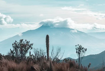 Wandcirkels aluminium Mountains in Ecuador © Galyna Andrushko
